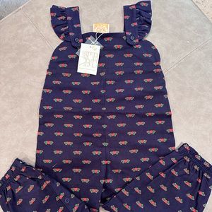 TBBC NWT Violet’s Vintage Overalls in A Kind Heart